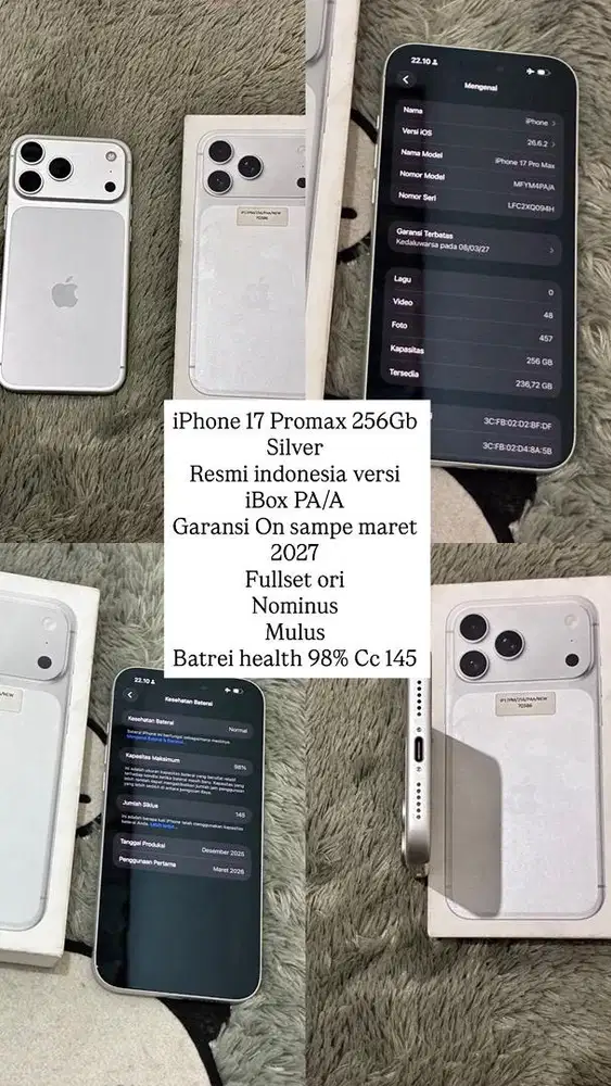 17 promax 256Gb Silver