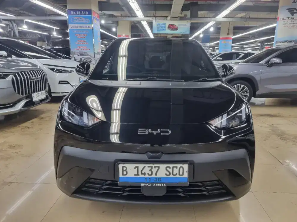 BYD ATTO 1 PREMIUM 2025 KM 8800