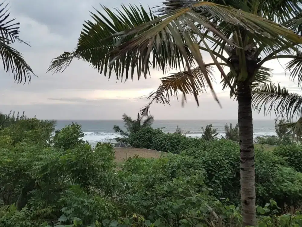 FOR SALE LAND PREMIUM OCEAN VIEW GIANYAR
