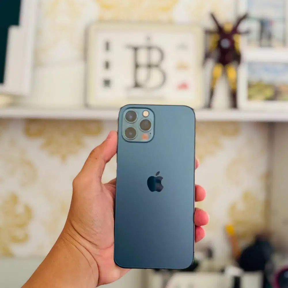 iPhone 12 Pro 256gb Original Mulus jual cepaat