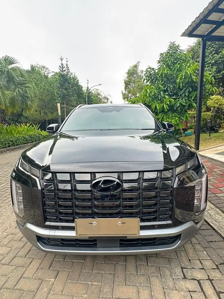 Dijual Palisade D 2.2 A/T Signature