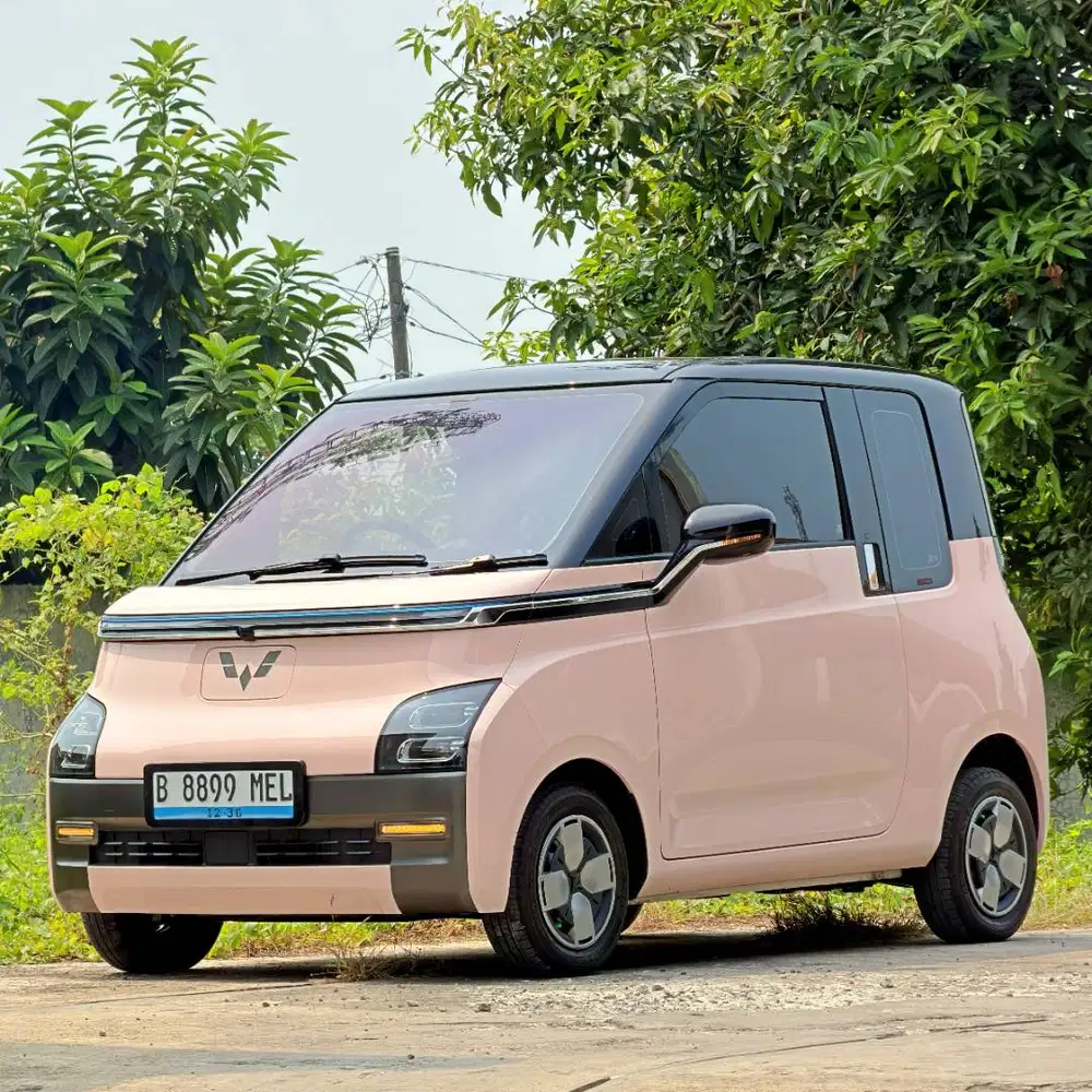 [LOW KM FULL SERIVCE RECORD] WULING AIR EV PRO 300KM (TIPE TERTINGGI)