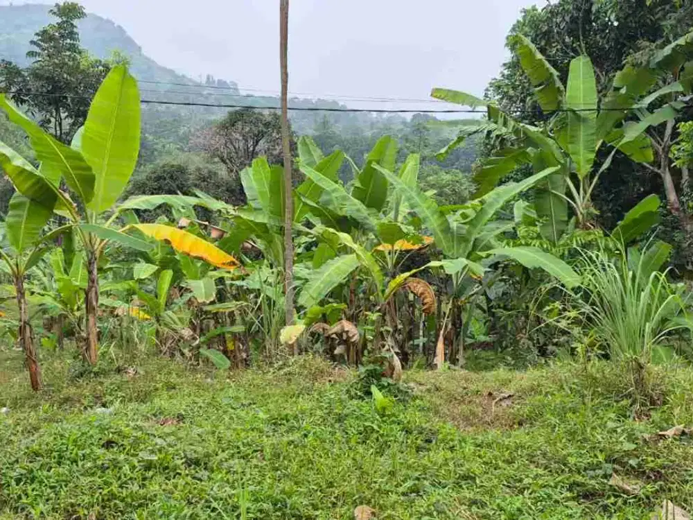 Dijual Tanah 4,5 Ha Siap Bangun di Sukamakmur, Bogor