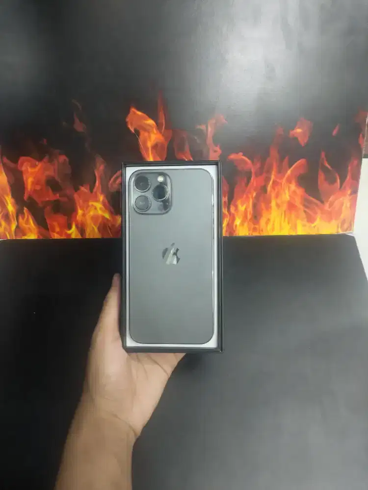 iphone 13 pro max 256
