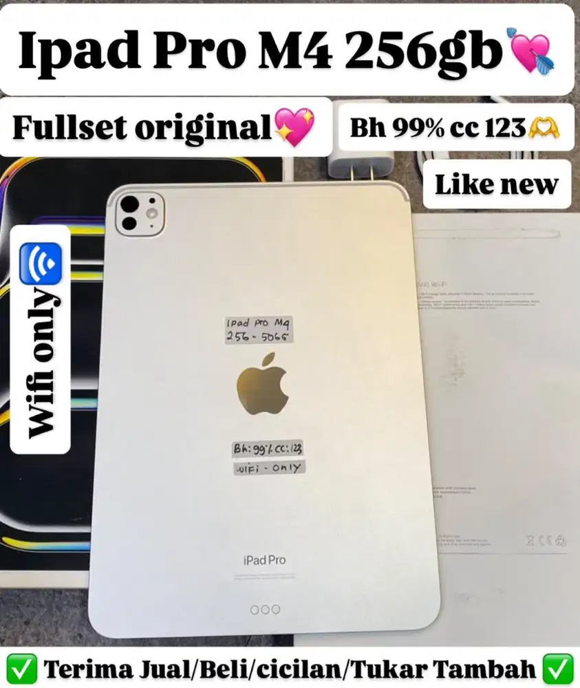 Ipad Pro M4 11 inch 256 Gb Silver Fullset ori