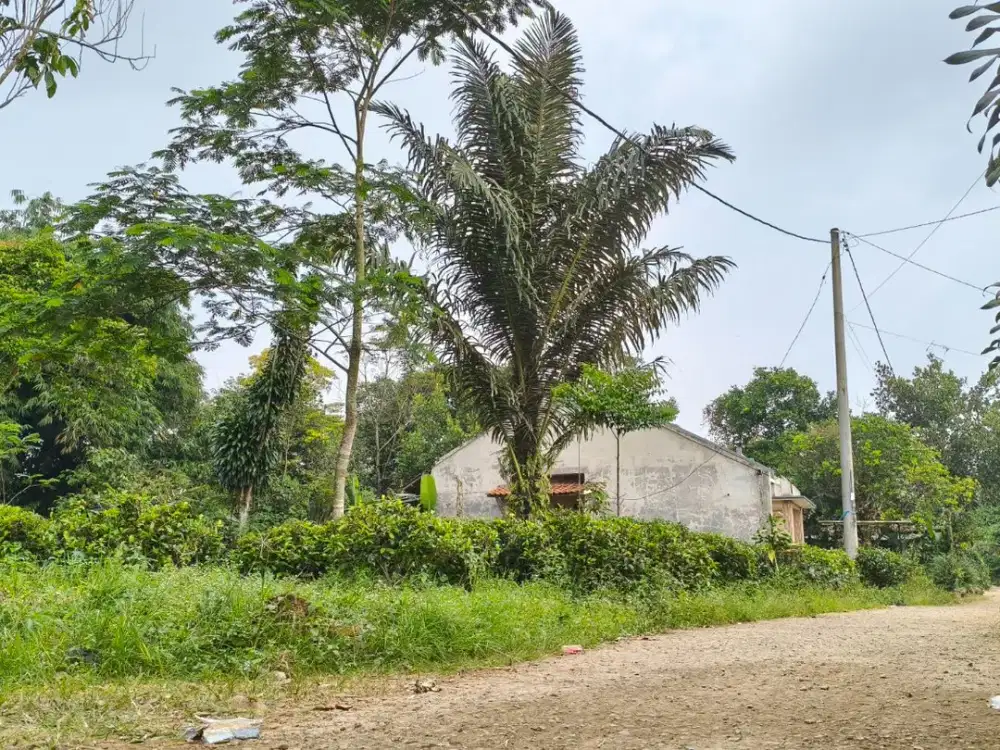 Tanah Kebun Datar 1.200m² di Darangdan Purwakarta – Akses Mobil & Siap Pakai