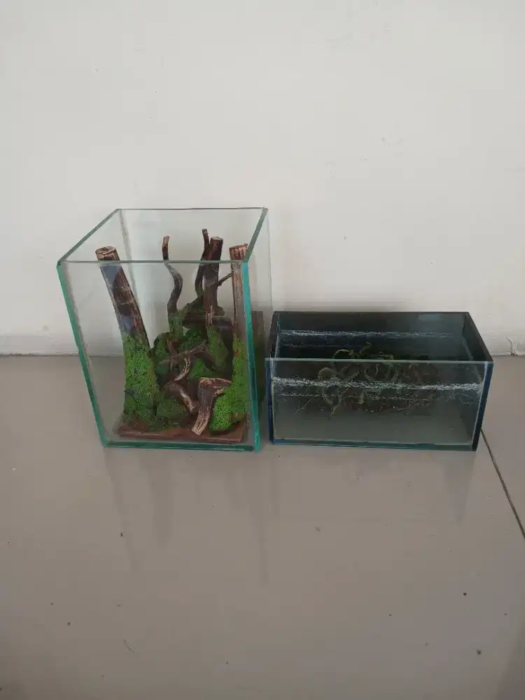 Aquarium aquascape