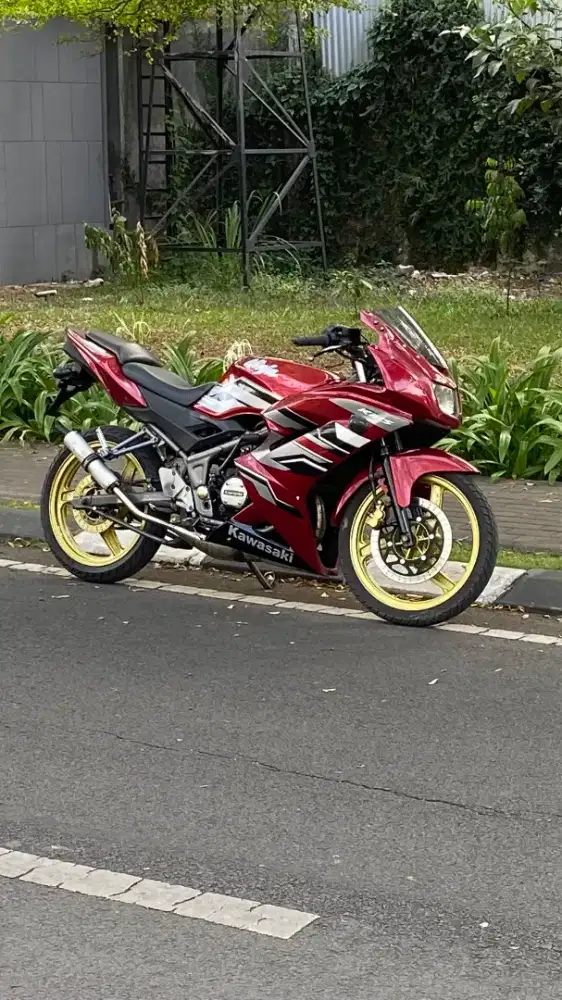 KAWASAKI NINJA RR 2013