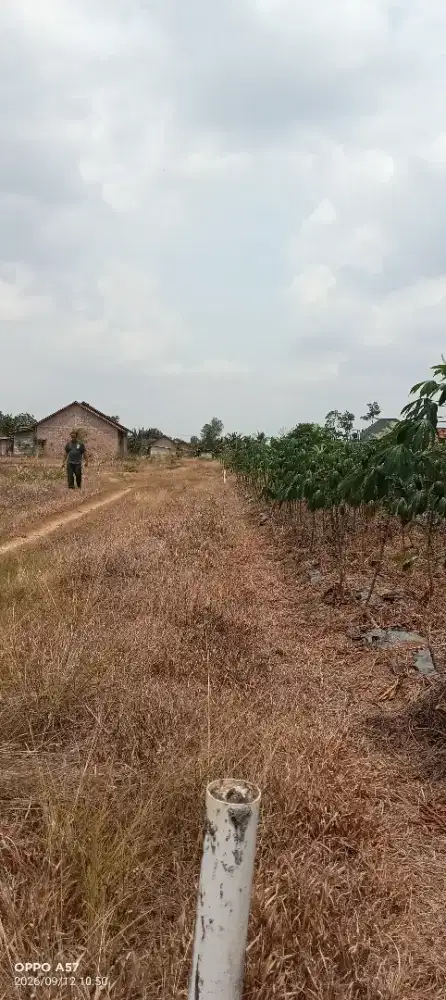 Dijual cepat Tanah 2 kavling koperasi jurai siwo