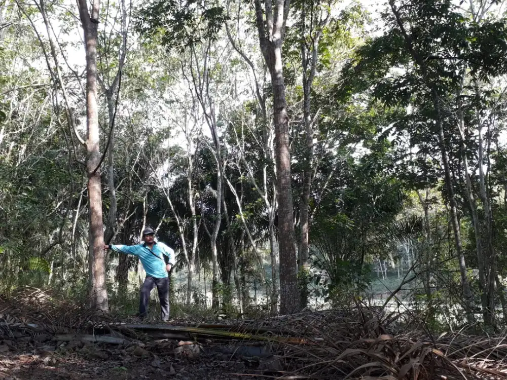 JUAL TANAH LOKASI IKN