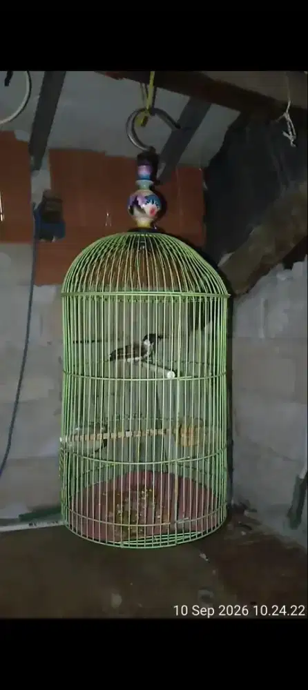 kandang besi burung lb dua pcs