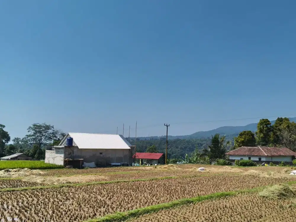Sawah Produktif 4.400 m² SHM di Purwakarta – Dekat Pintu Tol, Akses Mobil & View Gunung Burangrang