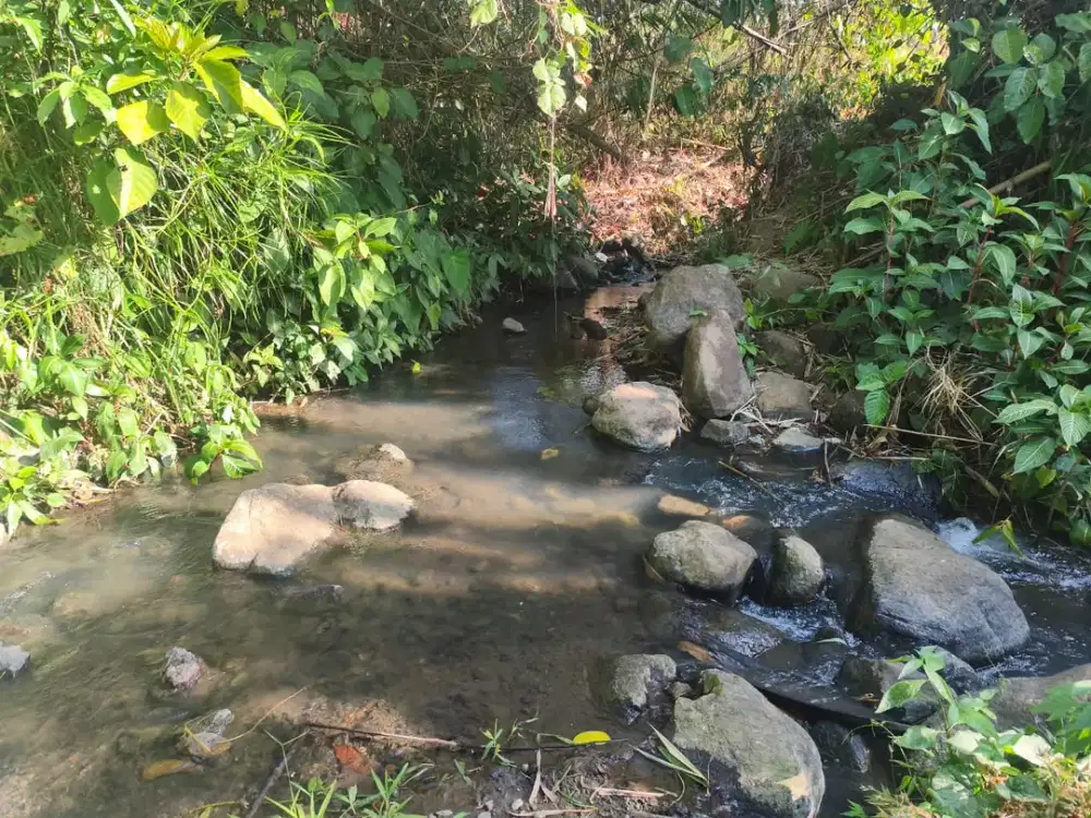 DIJUAL TANAH
