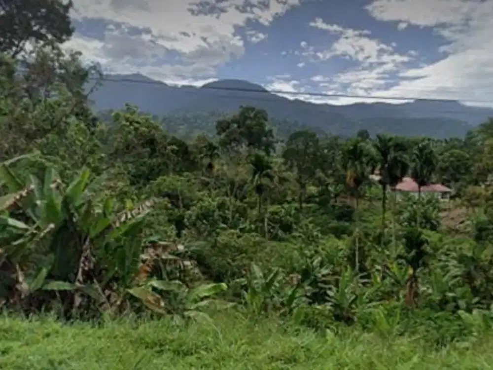 Dijual Tanah Dipinggir Jalan Tanjuang Baringin Sumatra Barat