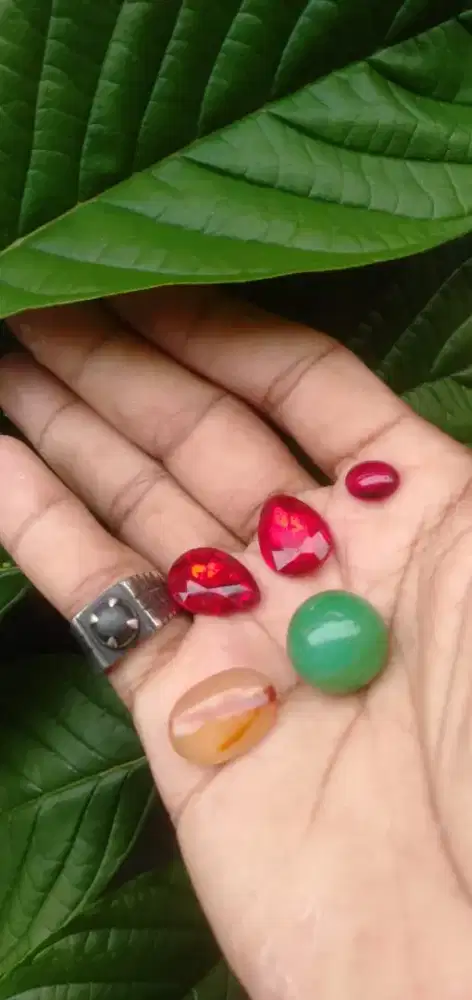 Mana tau laku di jual asli dan ori no minus  wa dan hp buruan