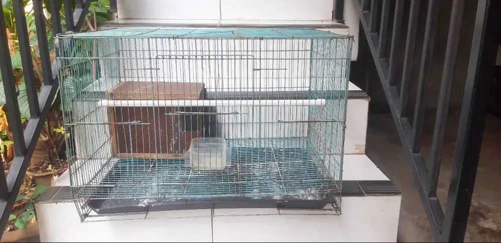 Kandang Love bird Uk 60x40 plus glodokan