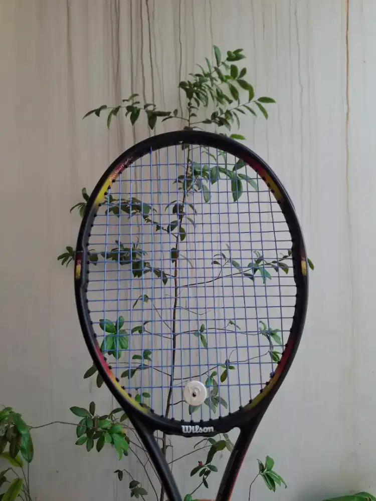 Raket Tennis Pro Staff 6.1 Classic