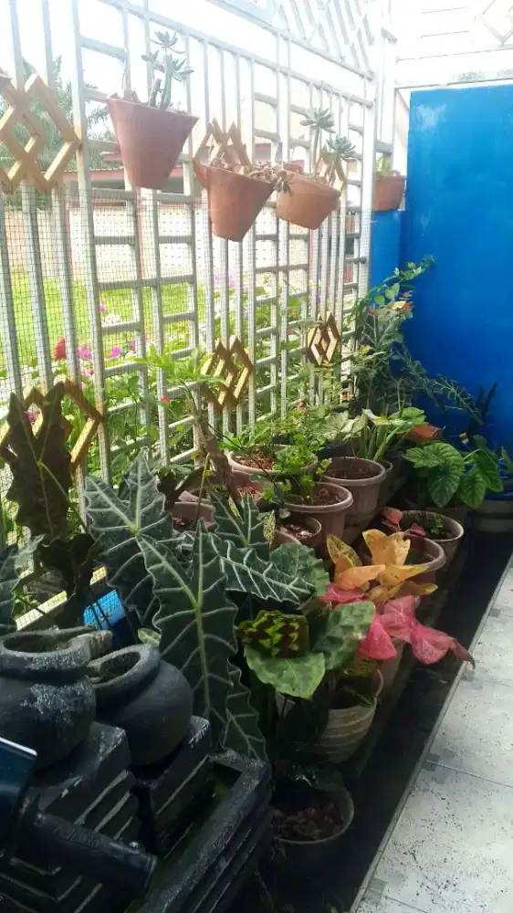 Lowongan Pekerja Laki2 Untuk Di Rumah