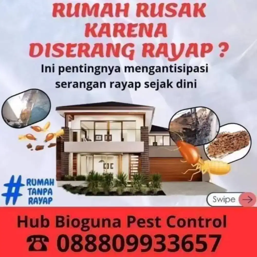 Jasa Anti Rayap Terjangkau