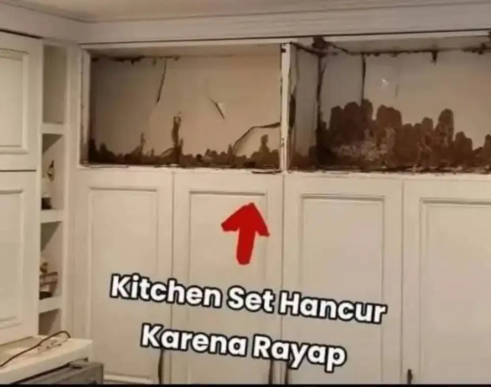 Jasa Anti Rayap Terjangkau