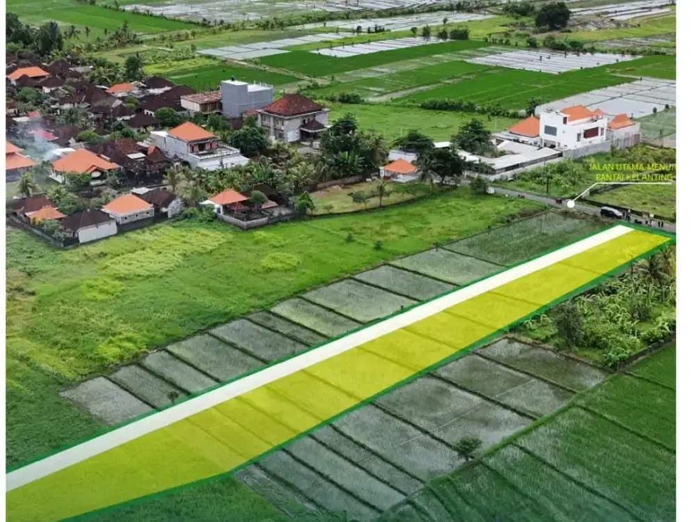 Tanah View Sawah Dekat Pantai Kelating, Tabanan