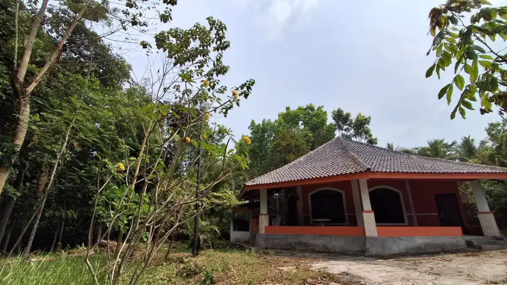 Dijual Rumah Kebun dan Kebun Jabon