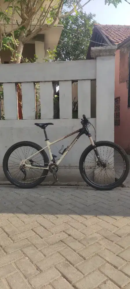 Sepeda polygon Xtrada 6
