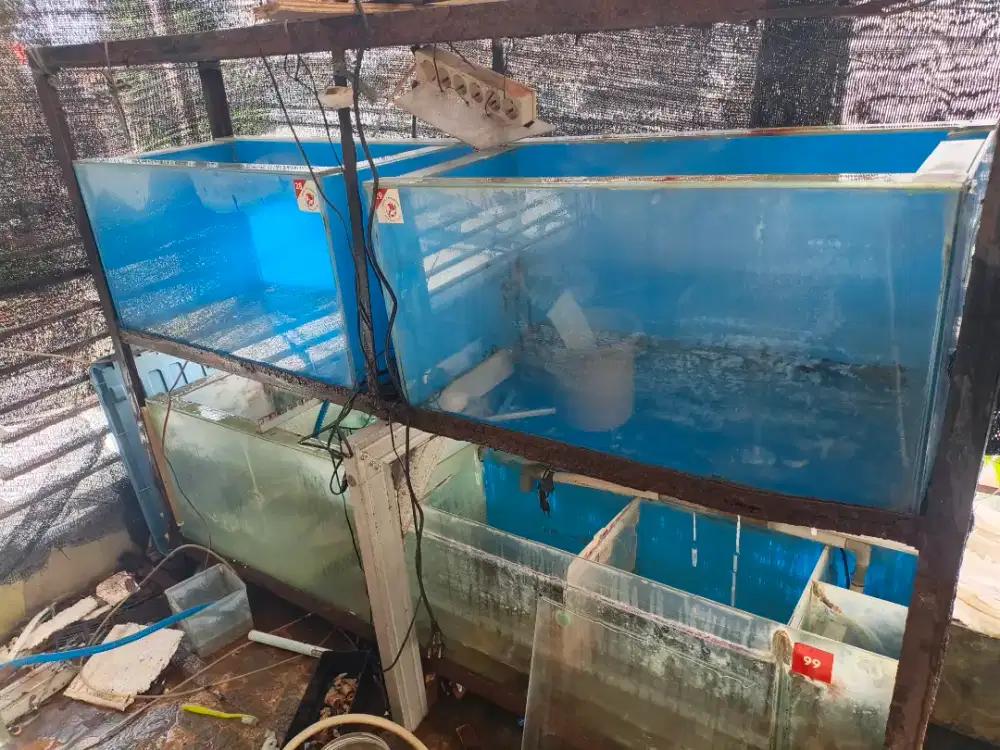 Aquarium 80-40-40 ada 2pc