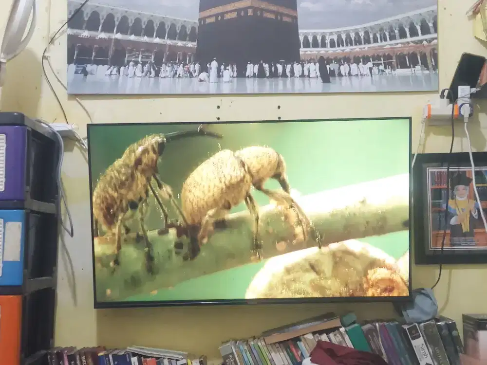 Cooca android tv 43 inch