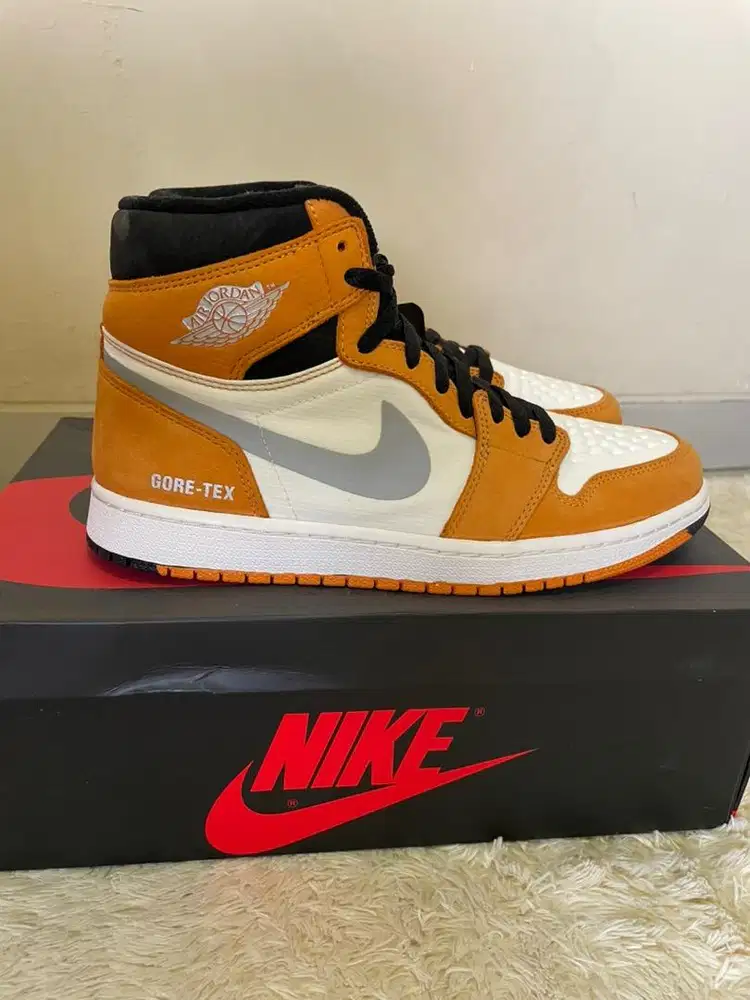 Air Jordan 1 High Element Gore Tex