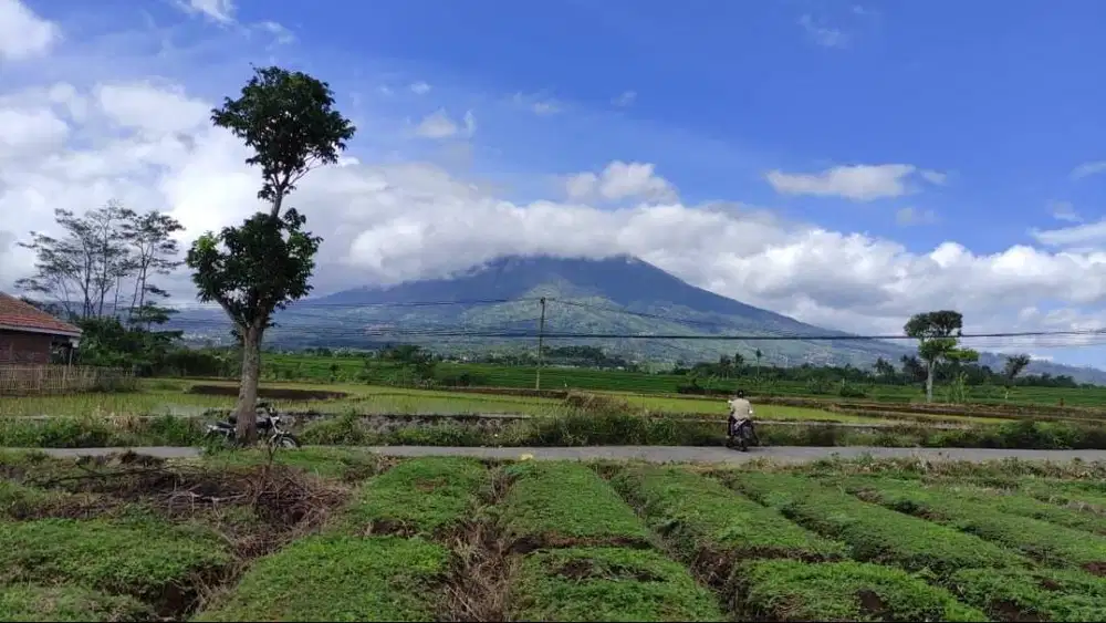HARGA DIBAWAH PASARAN!-Tanah Strategis di Cibunar Garut - View Gunung