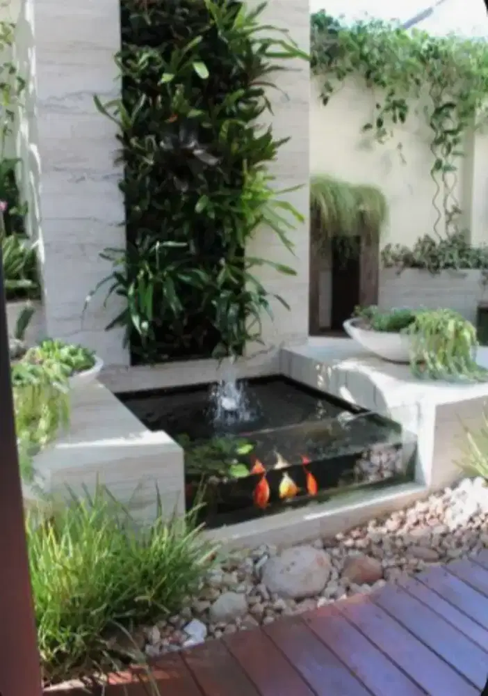 Kolam ikan koi minimalis