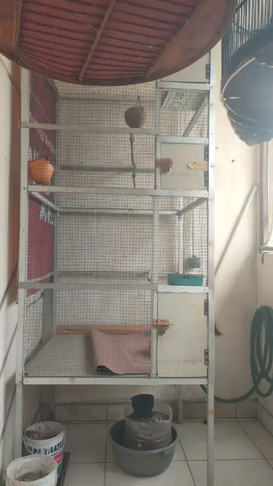Sangkar burung minimalis modern