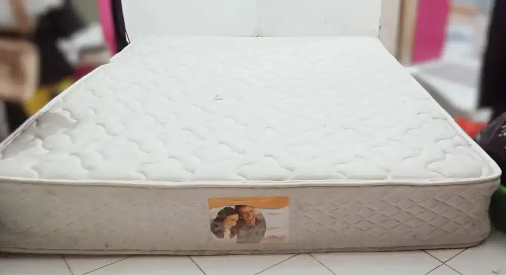 Kasur Marcopolo free divan