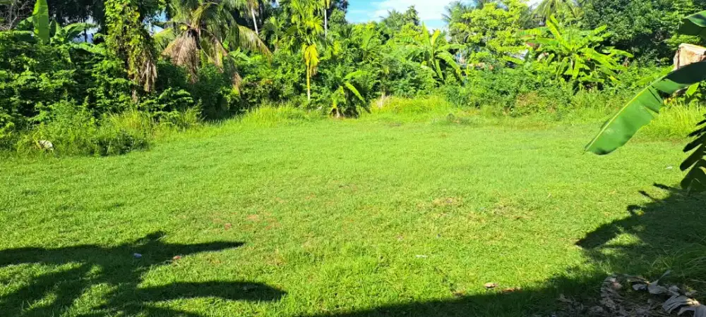Dijual kebun dengan luas 720 meter