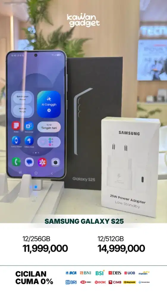 Samsung Galaxy S25