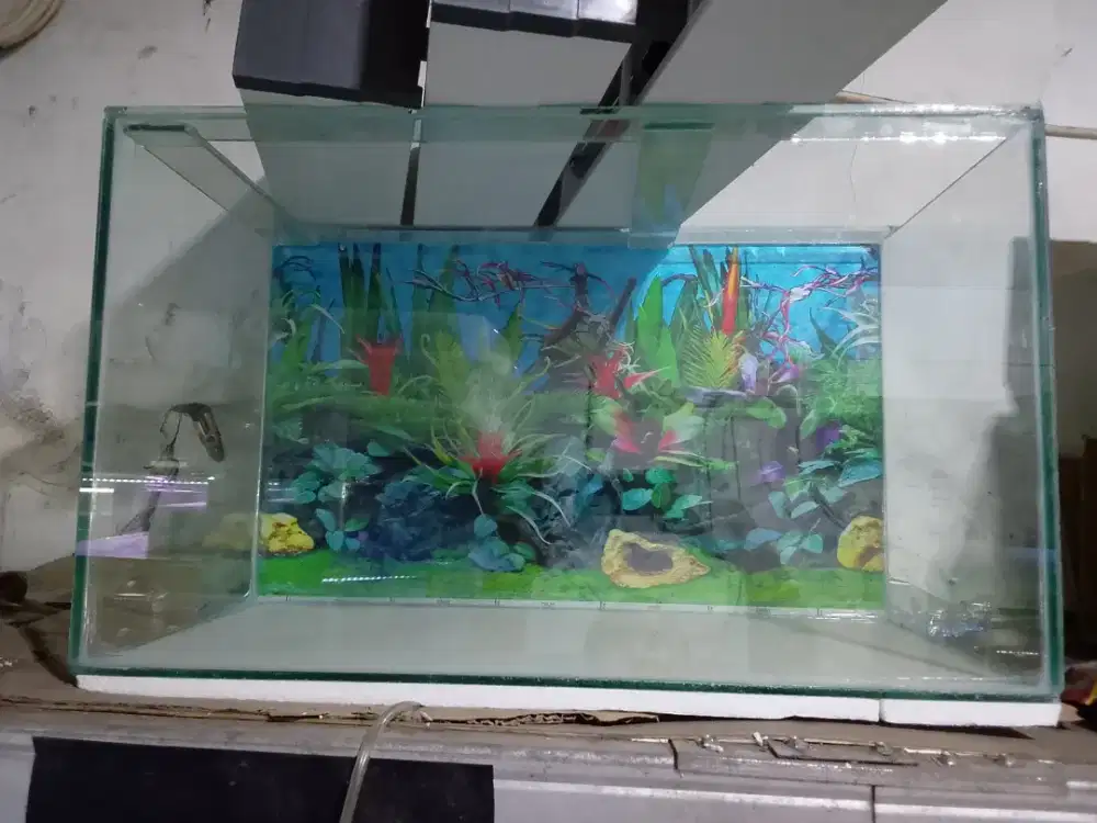 Aquarium ikan 60cm, bagrond dan alas sterofom