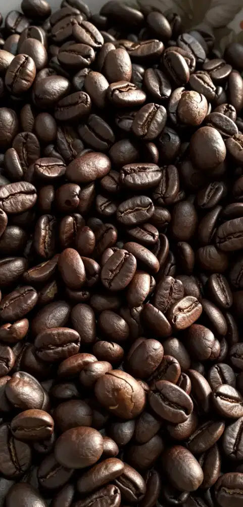 Biji Robusta Gayo Premium 1kg