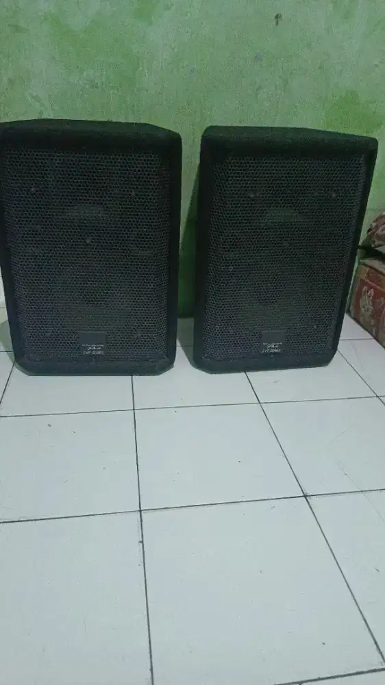 Speker Waferdale Pro EVP 10