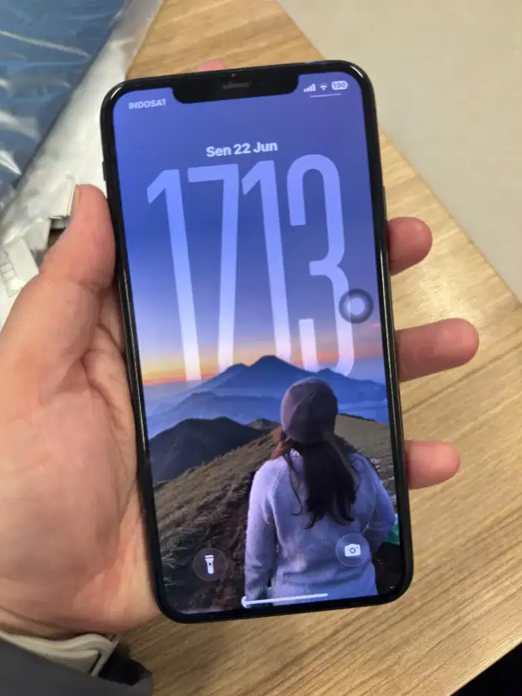 Jual Iphone 11 pro max 256 inter