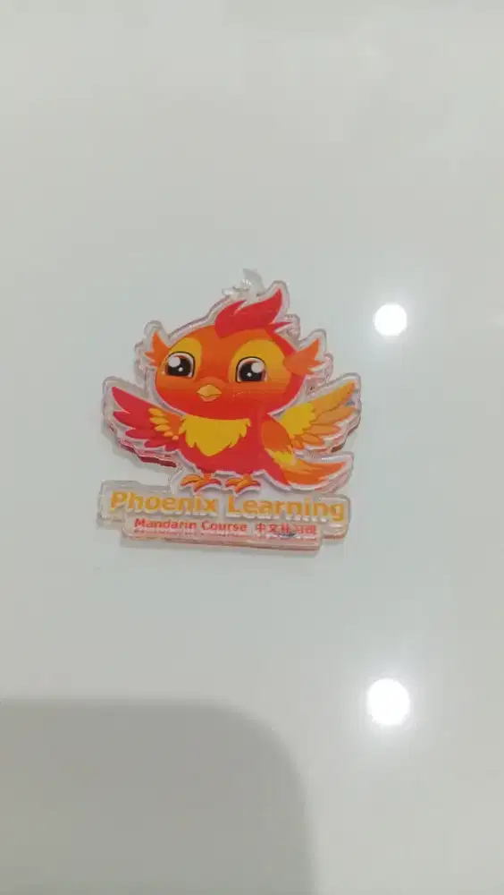 Pin Akrilik Phoenix Learning