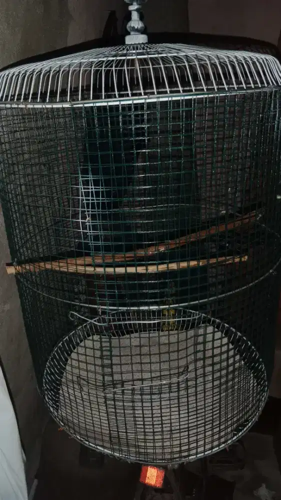 Sangkar burung buat sendiri