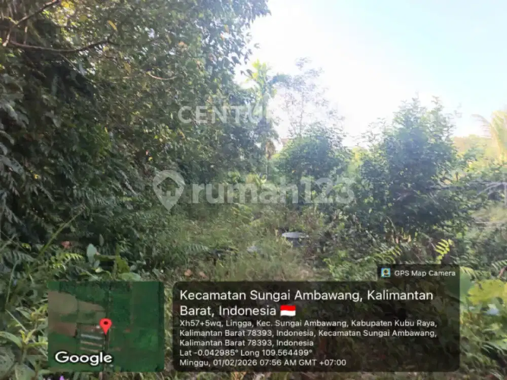 Tanah di Jl Sungai Ambawang Sudah Bonus Rmh Walet dan Rmh Tinggal