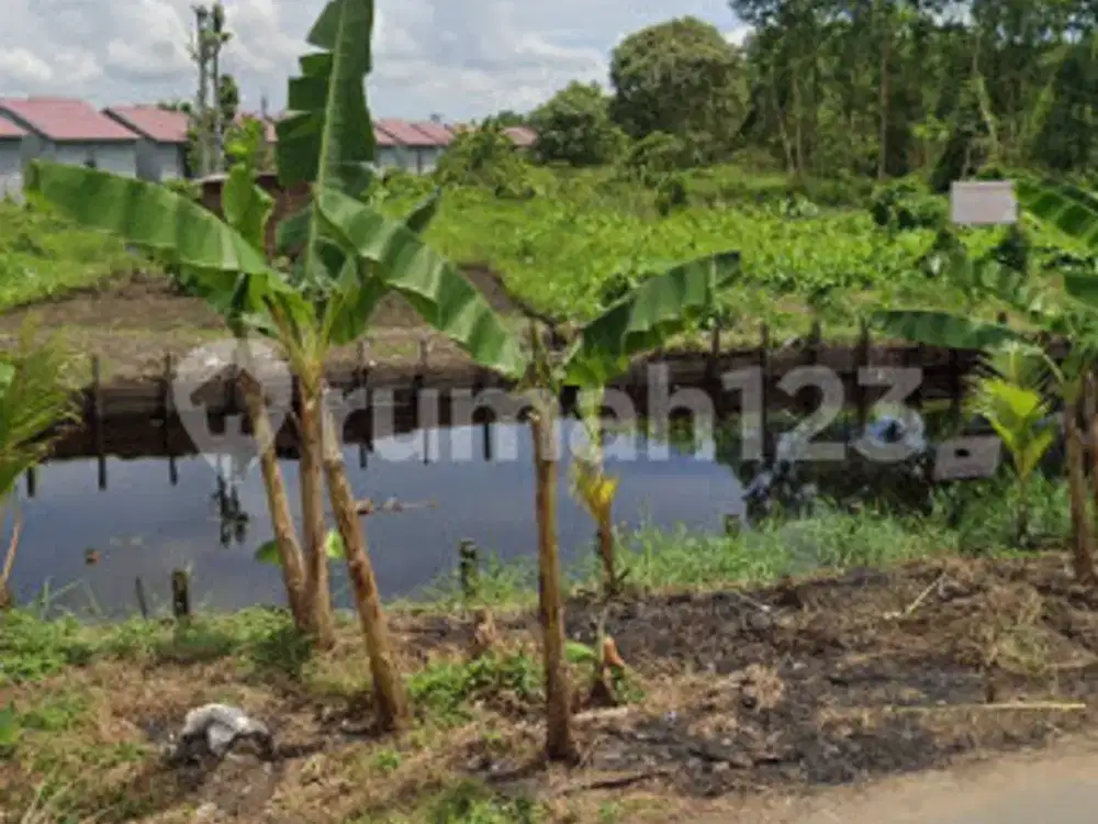 Tanah Tepi Jalan Parit Pangeran Siantan 15.663