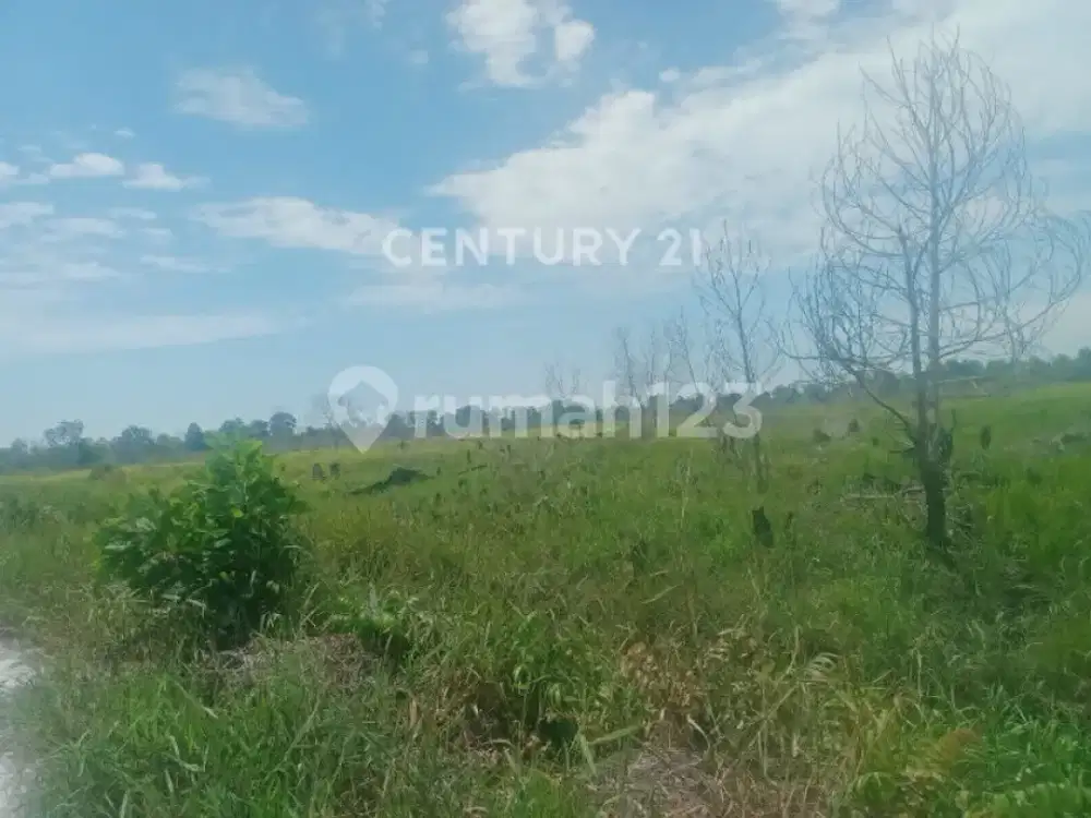 Tanah Strategis Dekat Bandara Singkawang Kalimantan Barat