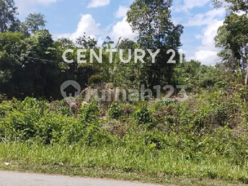 Tanah Tepi Jl Rantau Perapat Sanggau Kapuas Kalimantan Barat