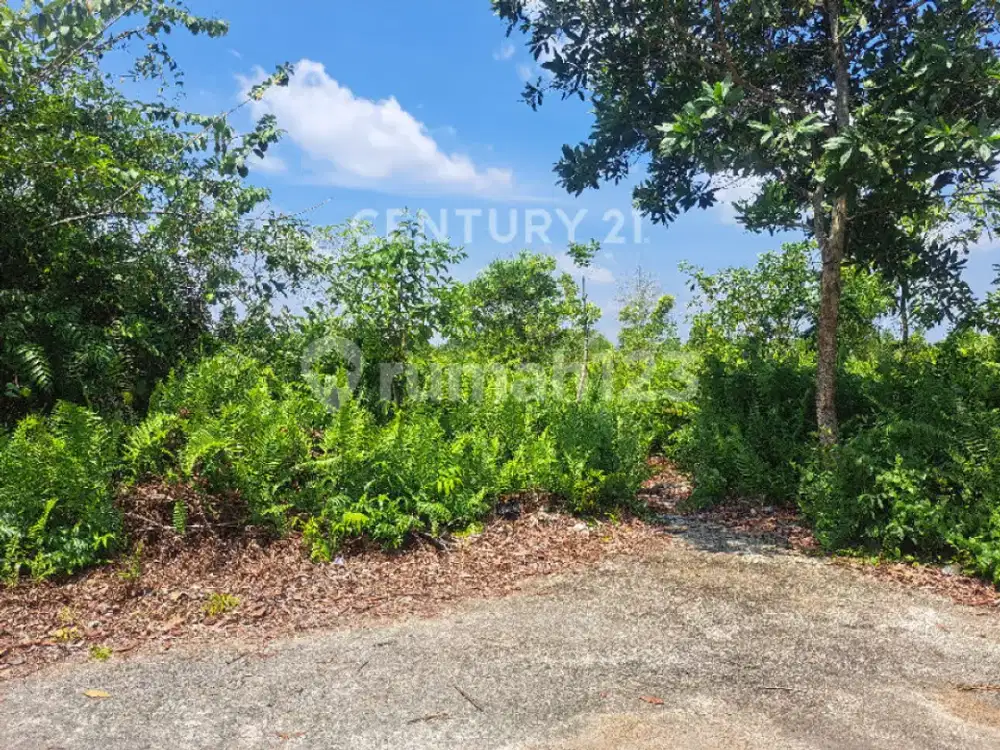 Tanah Kosong Luas 1087 M² Jl Aloevera Pontianak Tenggara