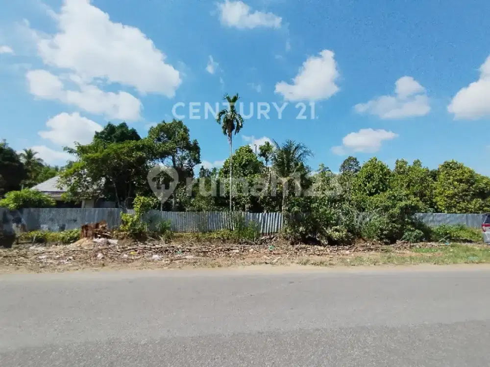 Tanah Tepi Jalan Pramuka Sudah Bonus Kebun Buah Buahan Produktif