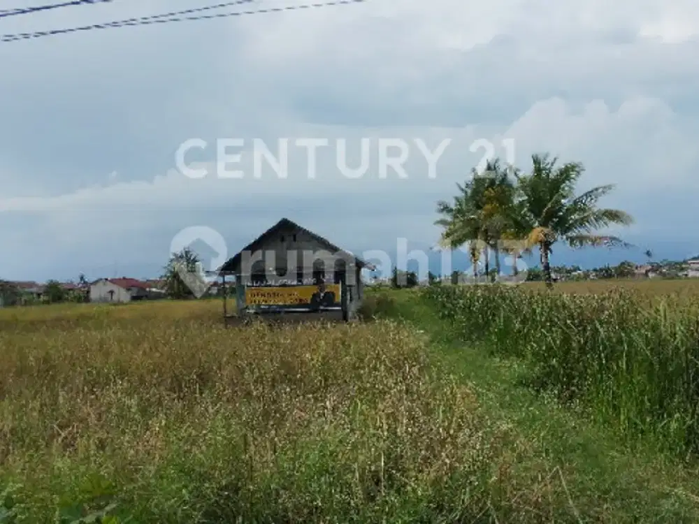 Lahan / Tanah Luas Tepi Jalan Area Jl. Pramuka 1.6 Ha
