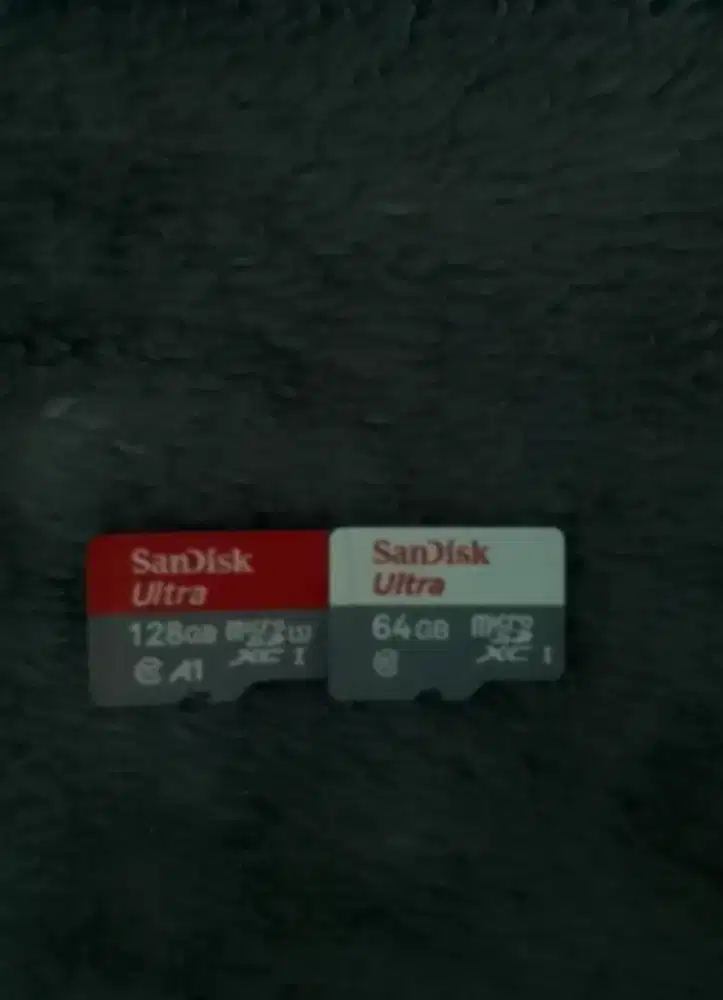 Sandisk microSD
